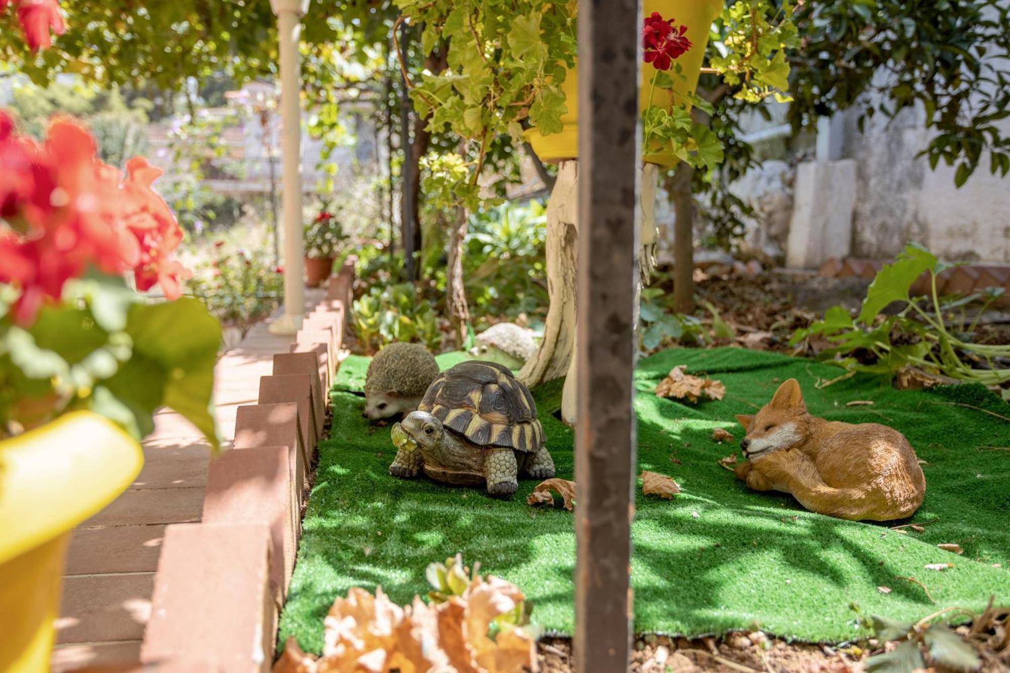 Villa Salvatore Capaci Ngoại thất bức ảnh