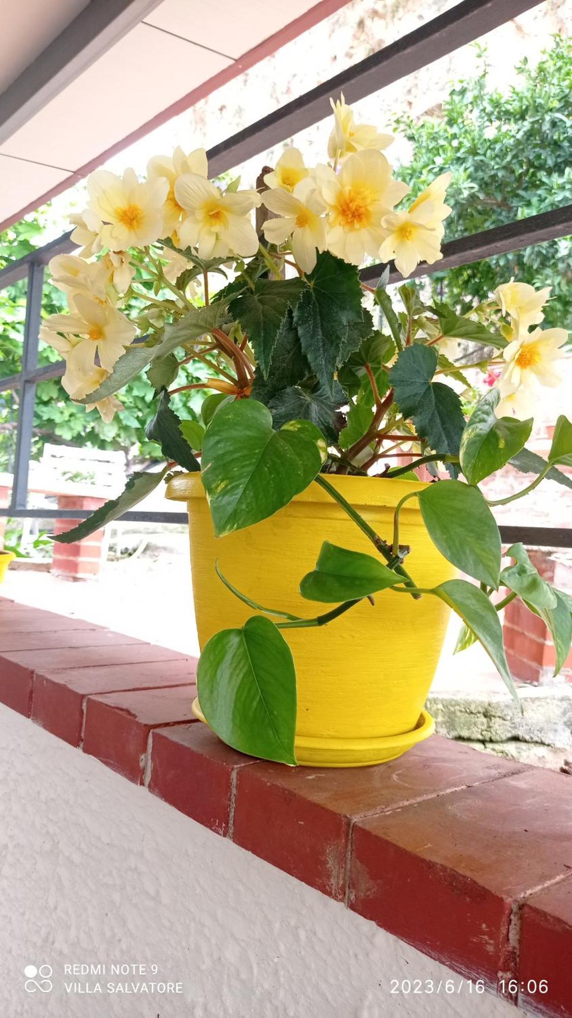 Villa Salvatore Capaci Phòng bức ảnh